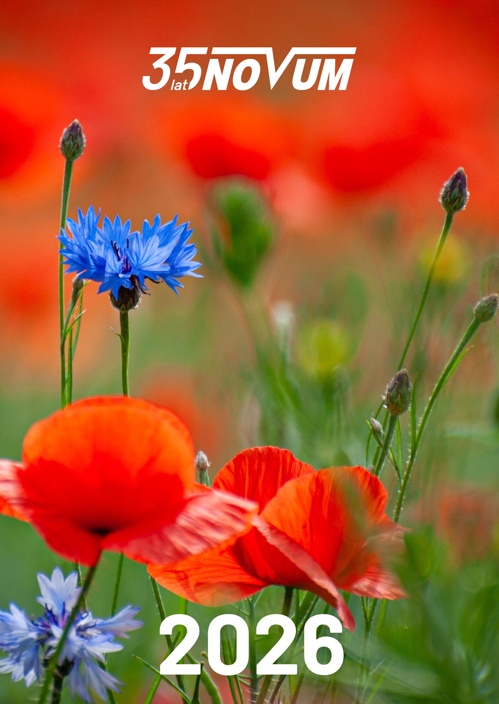 <button>2026</button>