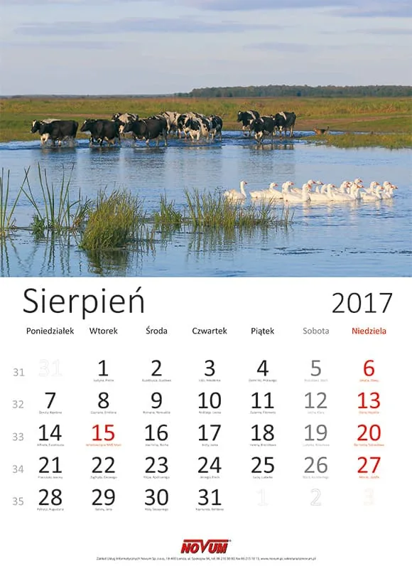 Kalendarz NOVUM 2017