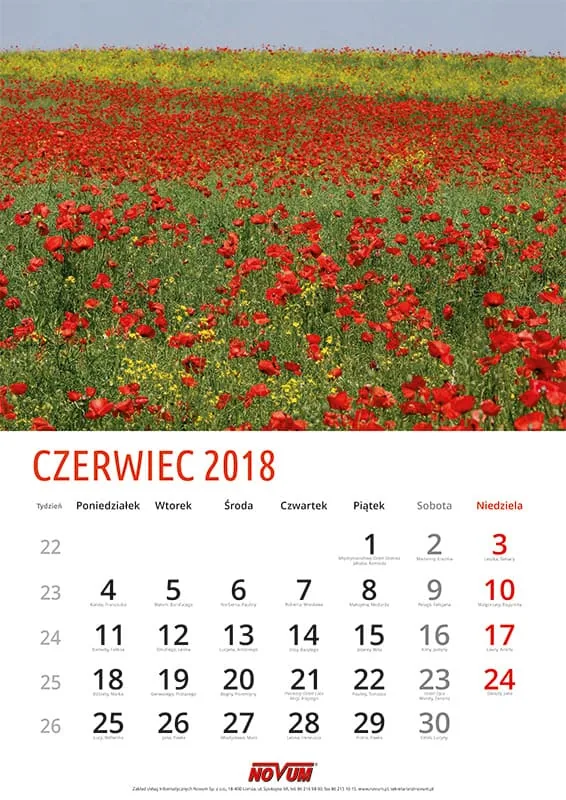Kalendarz NOVUM 2018