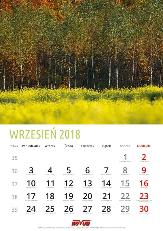 Kalendarz NOVUM 2018