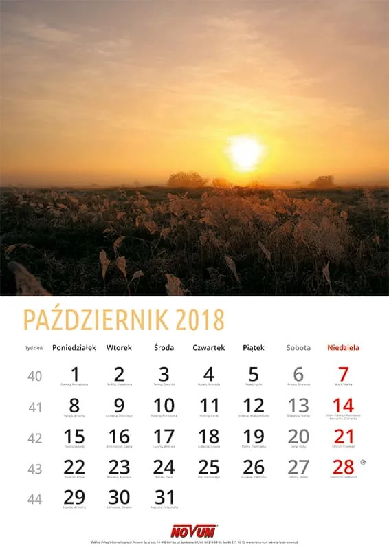 Kalendarz NOVUM 2018
