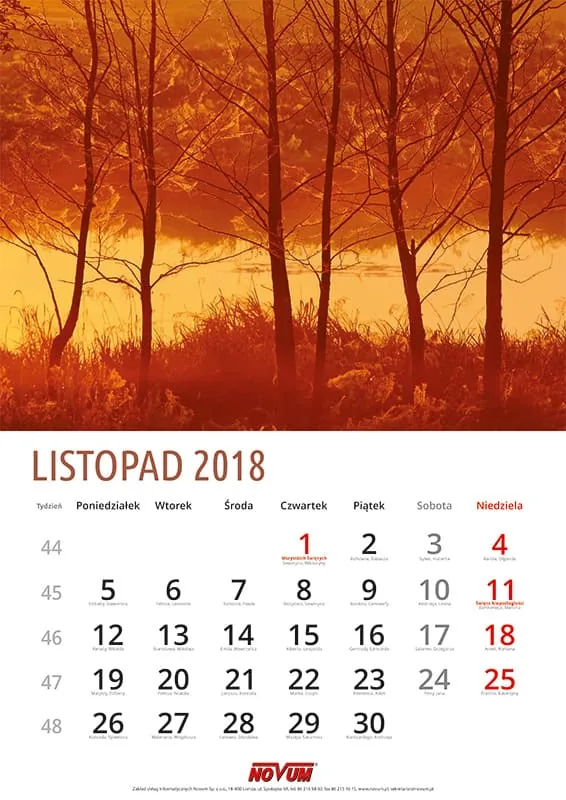 Kalendarz NOVUM 2018