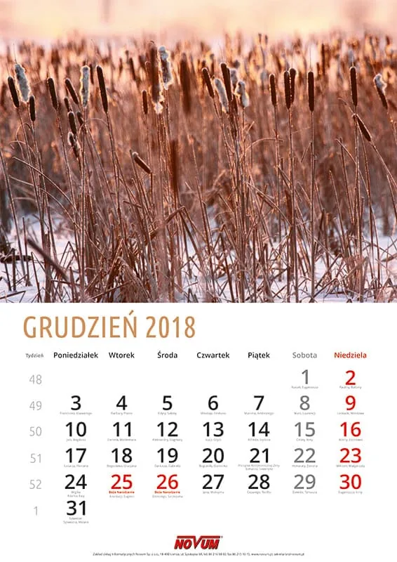 Kalendarz NOVUM 2018