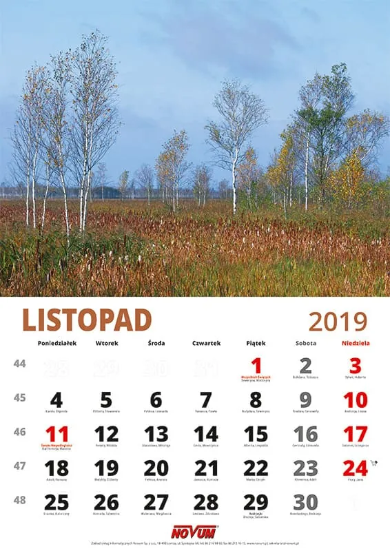 Kalendarz NOVUM 2019