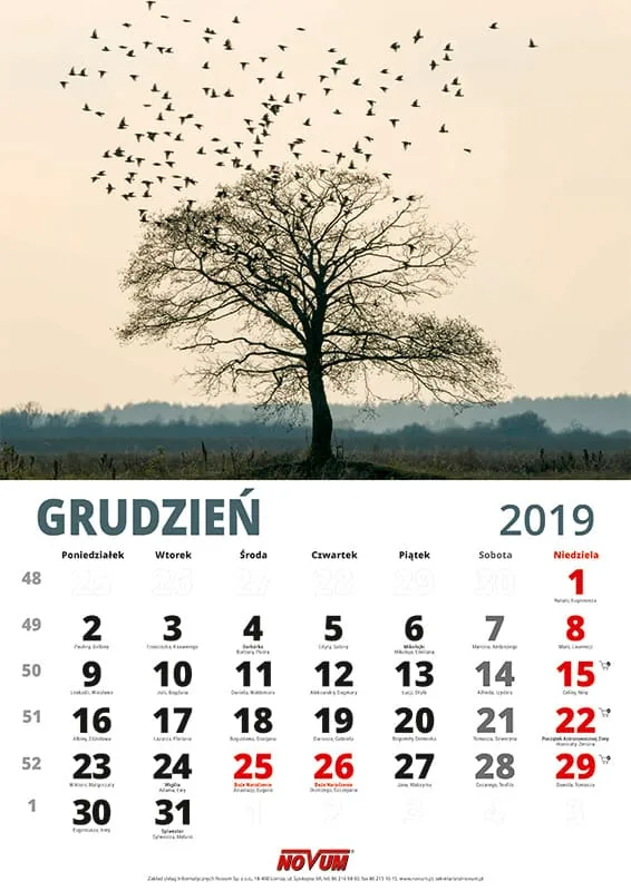 Kalendarz NOVUM 2019